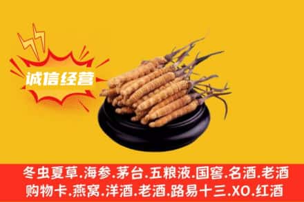 临夏康乐县回收冬虫夏草